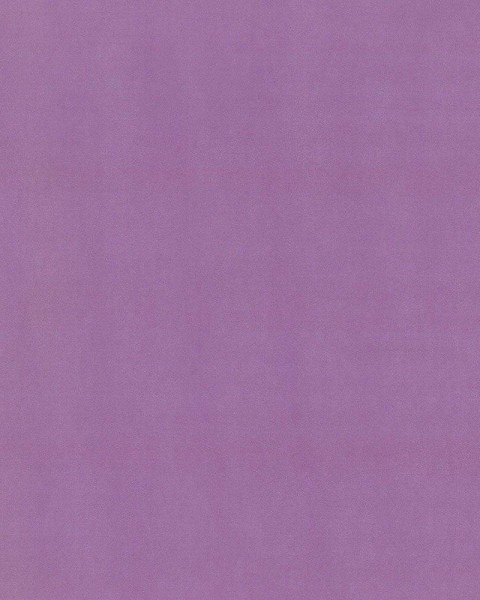 Hattan Palette | 70 Babur
